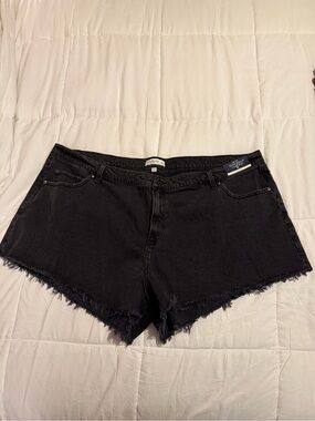 Abercrombie & Fitch Black Frayed Hem Women’s Denim Shorts